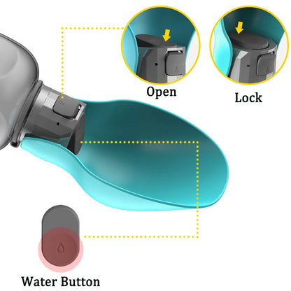 Gourde pour chien - Design